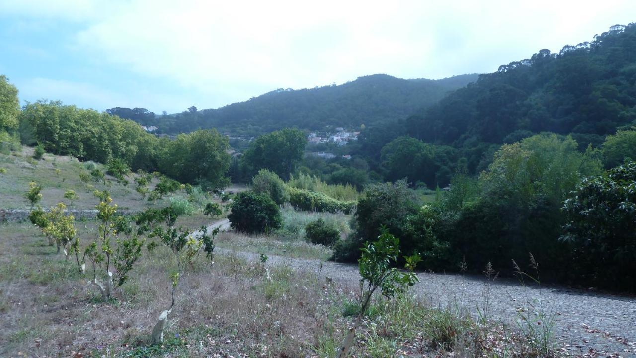Ribeira Dos Marinheiros Amarelo Lejlighed Sintra Eksteriør billede